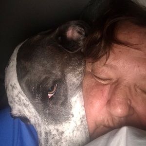 Meet your Posher, Dianne